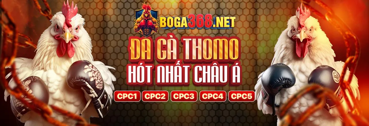 Đá Gà Trực Tuyến VIP666
