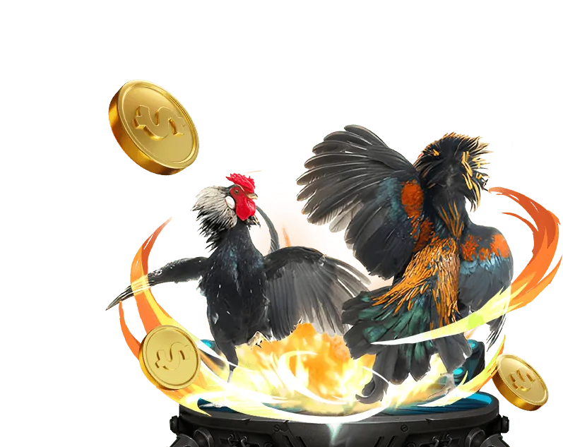 Theo dõi VIP666 trên mạng xã hội